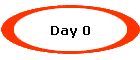 Day 0
