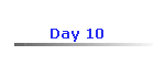 Day 10