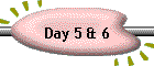 Day 5 & 6