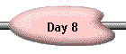 Day 8