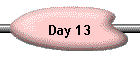 Day 13