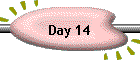 Day 14