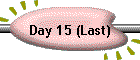 Day 15 (Last)