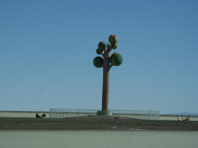 Metaphor, Tree of Life, Nowhere Utah