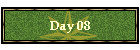 Day 08